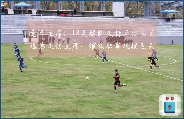 意甲主席：18支球队支持马拉戈竞选意足协主席，缩减联赛规模至关重要