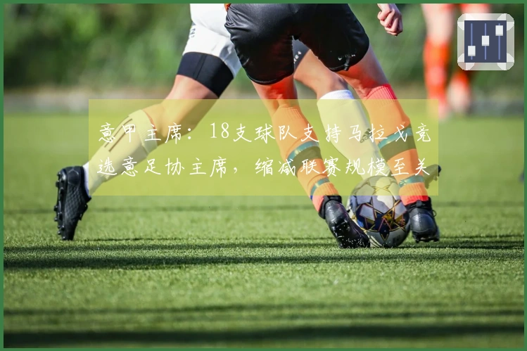 意甲主席：18支球队支持马拉戈竞选意足协主席，缩减联赛规模至关重要