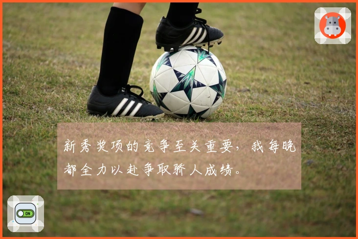 新秀奖项的竞争至关重要，我每晚都全力以赴争取骄人成绩。